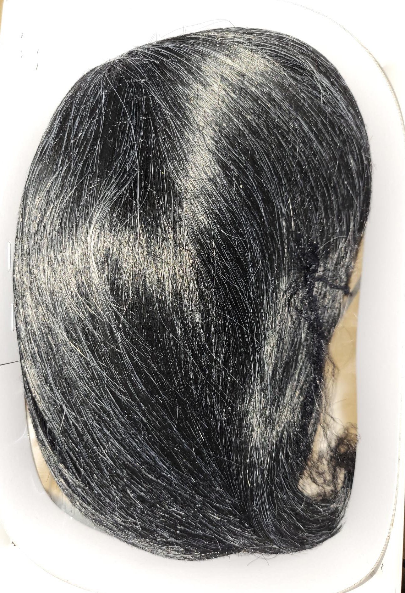 ROYAL WIG